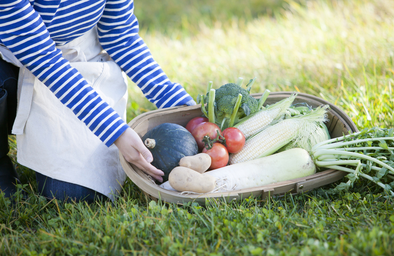 正社員希望者を歓迎 | 埼玉の農業の求人なら株式会社関東地区昔がえりの会